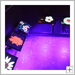 Schwarzlichtraum, Bienenwelten, Niederhaverbeck