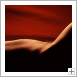 Liegende, Hannover, 29. Dezember 2003