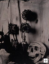 Stilleben mit Sch&auml;del, Hannover 2015