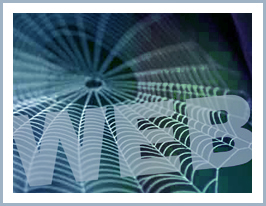 Spinnennetz als Symbol f&uuml;r das Internet